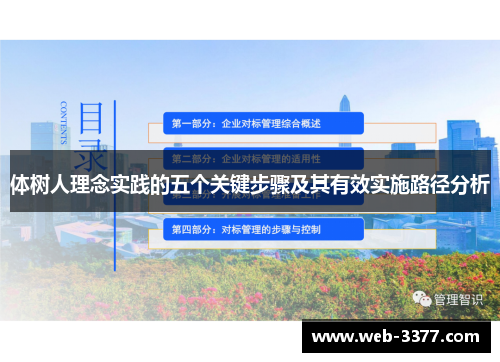 体树人理念实践的五个关键步骤及其有效实施路径分析