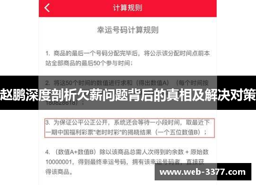 赵鹏深度剖析欠薪问题背后的真相及解决对策