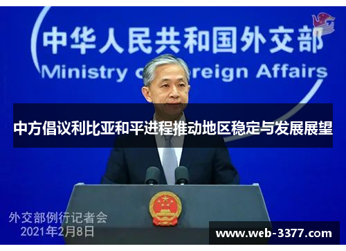 中方倡议利比亚和平进程推动地区稳定与发展展望