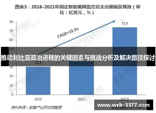 推动利比亚政治进程的关键因素与挑战分析及解决路径探讨